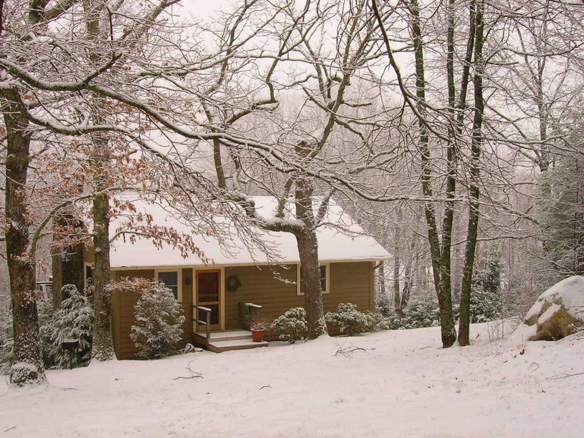 Fire Mountain Inn Cabins & Treehouses Scaly Mountain エクステリア 写真